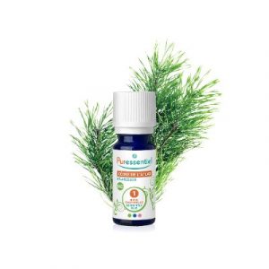 Atlas cedar - ecomauritius.mu