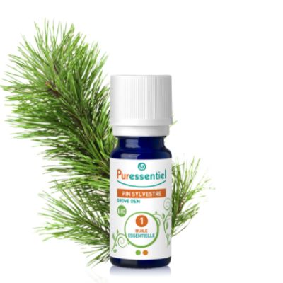 Scot pine essential oil-ecomauritius.mu