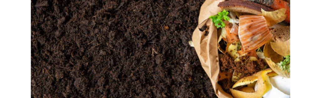 A Beginner’s Guide to Making Compost