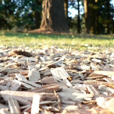 wood chips for gardens on ecomauritius.mu