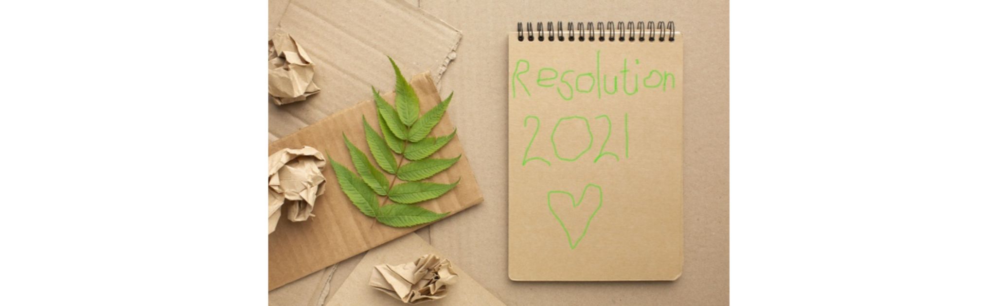 New Year’s Resolutions That Will Help You Help the Planet