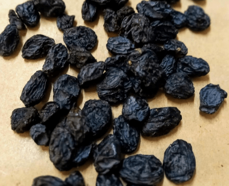 black currants in bulk on ecomauritius.mu