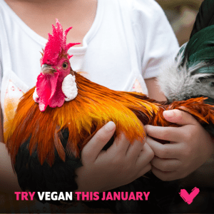 veganuary in Mauritius on ecomauritius.mu