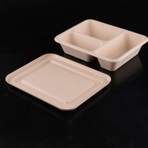 2 compartments 01 disposable bowl ecomauritius.mu