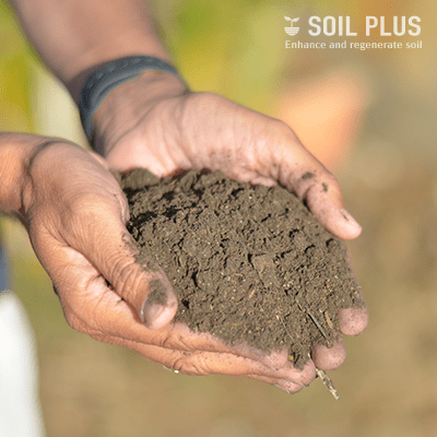 Soil Plus - Organic Compost