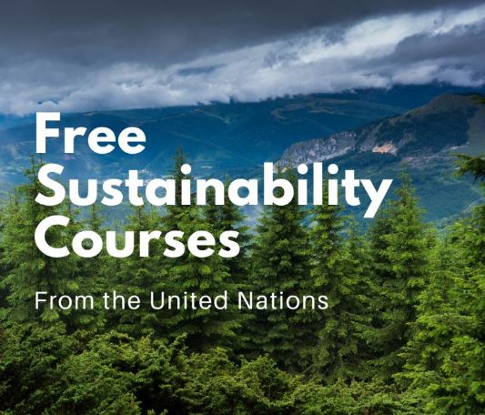 Sustainability Courses on ecomauritius.mu