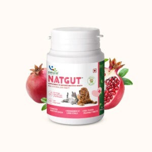 Natural Remedies NATGUT - Digestive Supplement For Dog & Cat_ecomauritius.mu