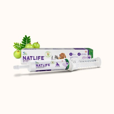 Natural Remedies NATLIFE - Energy & Immunity Supplement_ecomauritius.mu