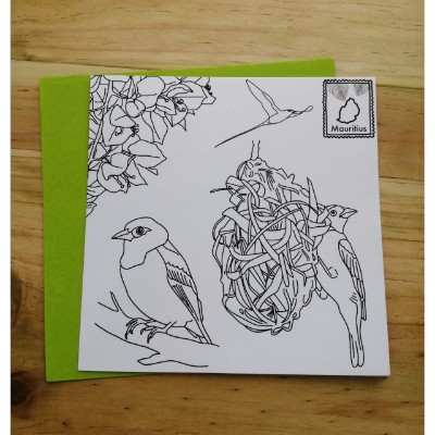 Colouring Cards -Birds_ecomauritius.mu